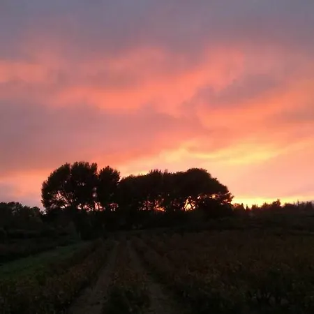 Nyaraló 